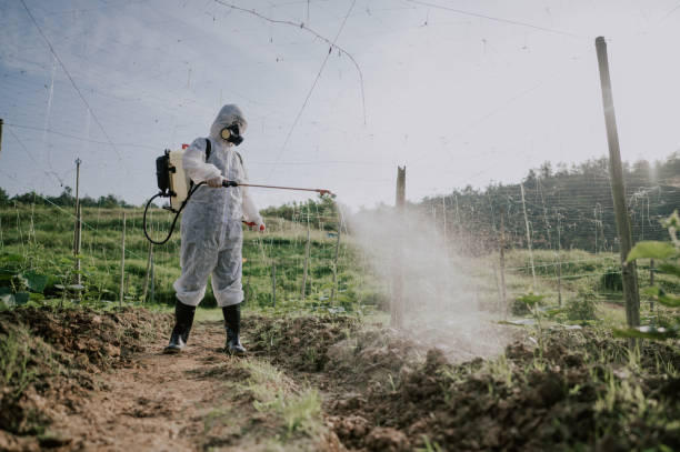 Best Mosquito Control Services  in Hawthorn Woods, IL