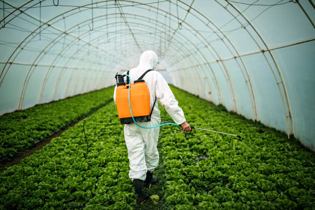 Best Pest Inspection Near Me  in Hawthorn Woods, IL