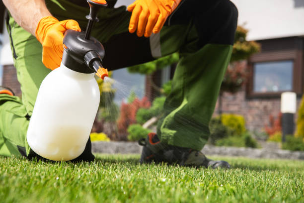 Best Bed Bug Extermination  in Hawthorn Woods, IL