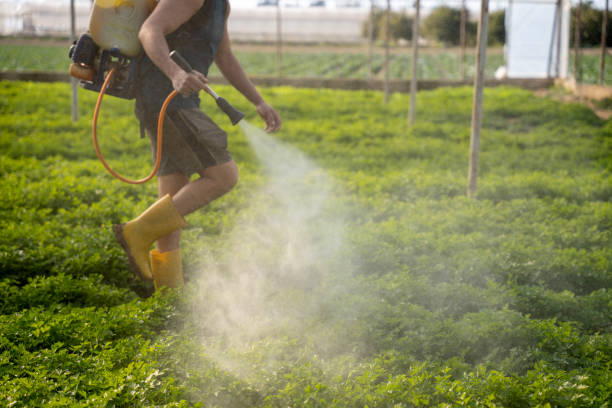 Best Pest Prevention Services  in Hawthorn Woods, IL