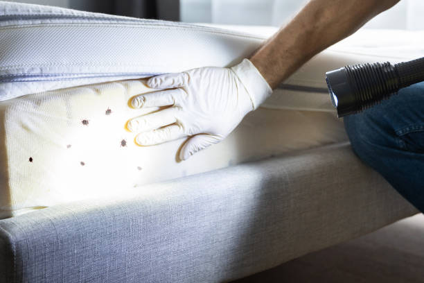 Best Bed Bug Extermination  in Hawthorn Woods, IL