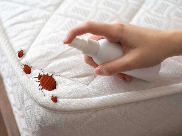 Best Best Pest Control Companies  in Hawthorn Woods, IL