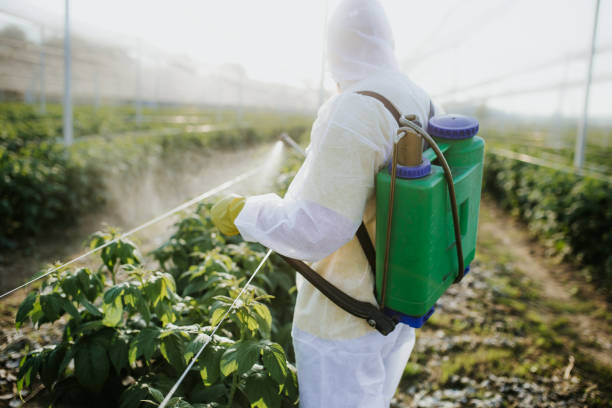 Trusted Hawthorn Woods, IL Pest Control Experts